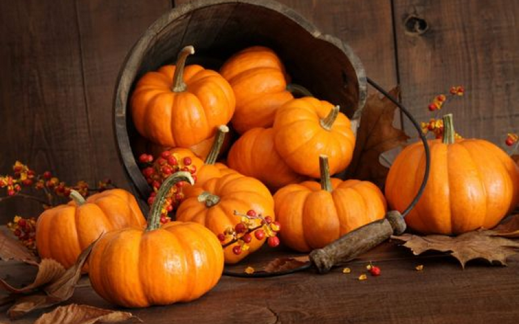 A rustic wooden bucket lays on its side, spilling out several small orange pumpkins onto a wooden surface. Bright red and orange berries, along with dried autumn leaves, are scattered around